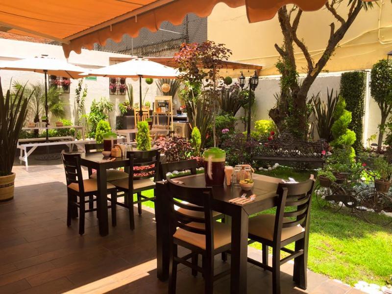 Steinhaus Suites Hamburgo Mexico City Eksteriør billede