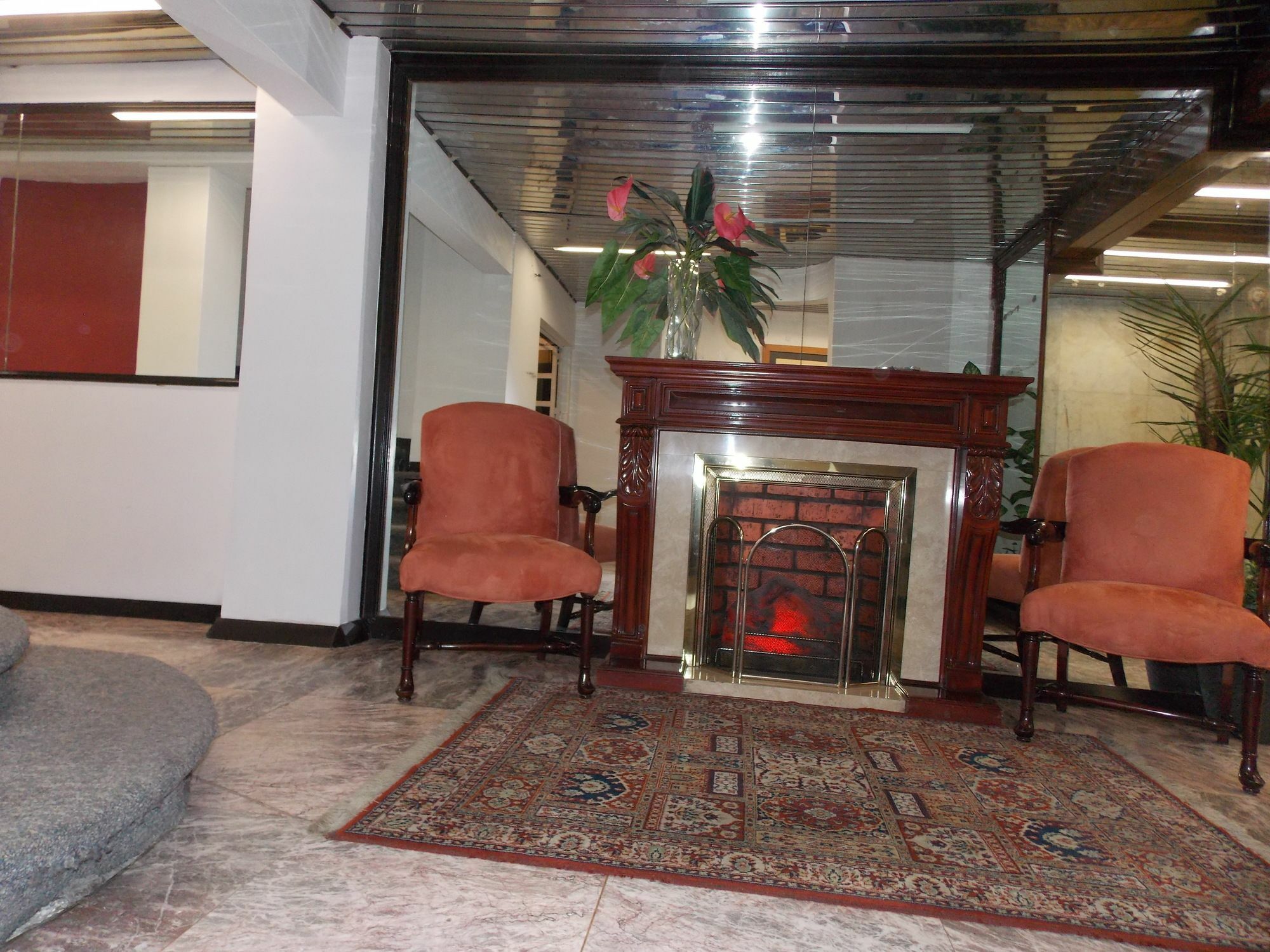 Steinhaus Suites Hamburgo Mexico City Eksteriør billede